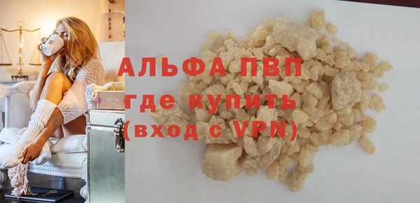 гидра Абаза