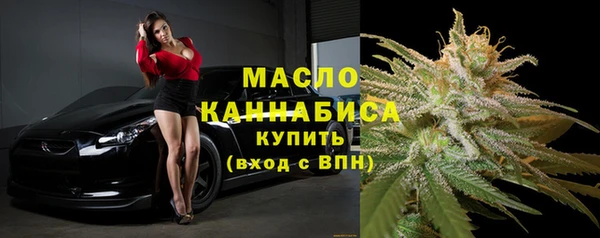 гидра Абаза