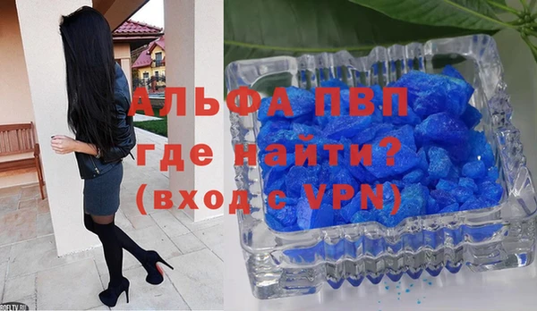 гидра Абаза