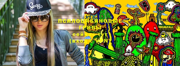 ПСИЛОЦИБИНОВЫЕ ГРИБЫ Алексин