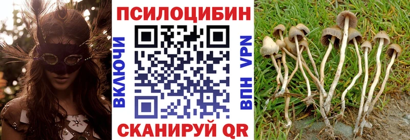 Галлюциногенные грибы ЛСД  Донской 