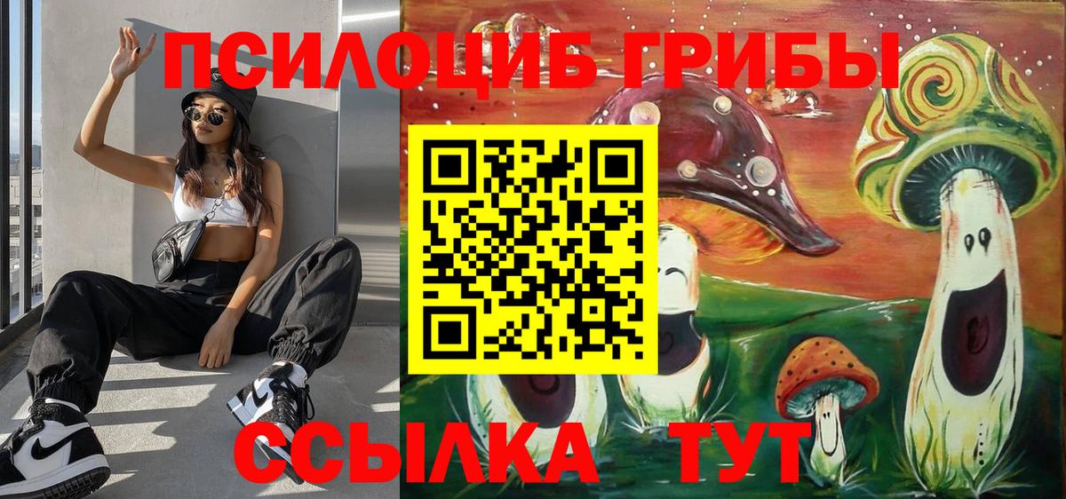 Галлюциногенные грибы Psilocybine cubensis Донской