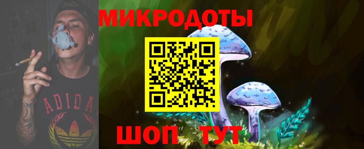как найти наркотики  Псилоцибиновые грибы Psilocybe  Вход с VPN  Донской  Галлюциногенные грибы Magic Shrooms 